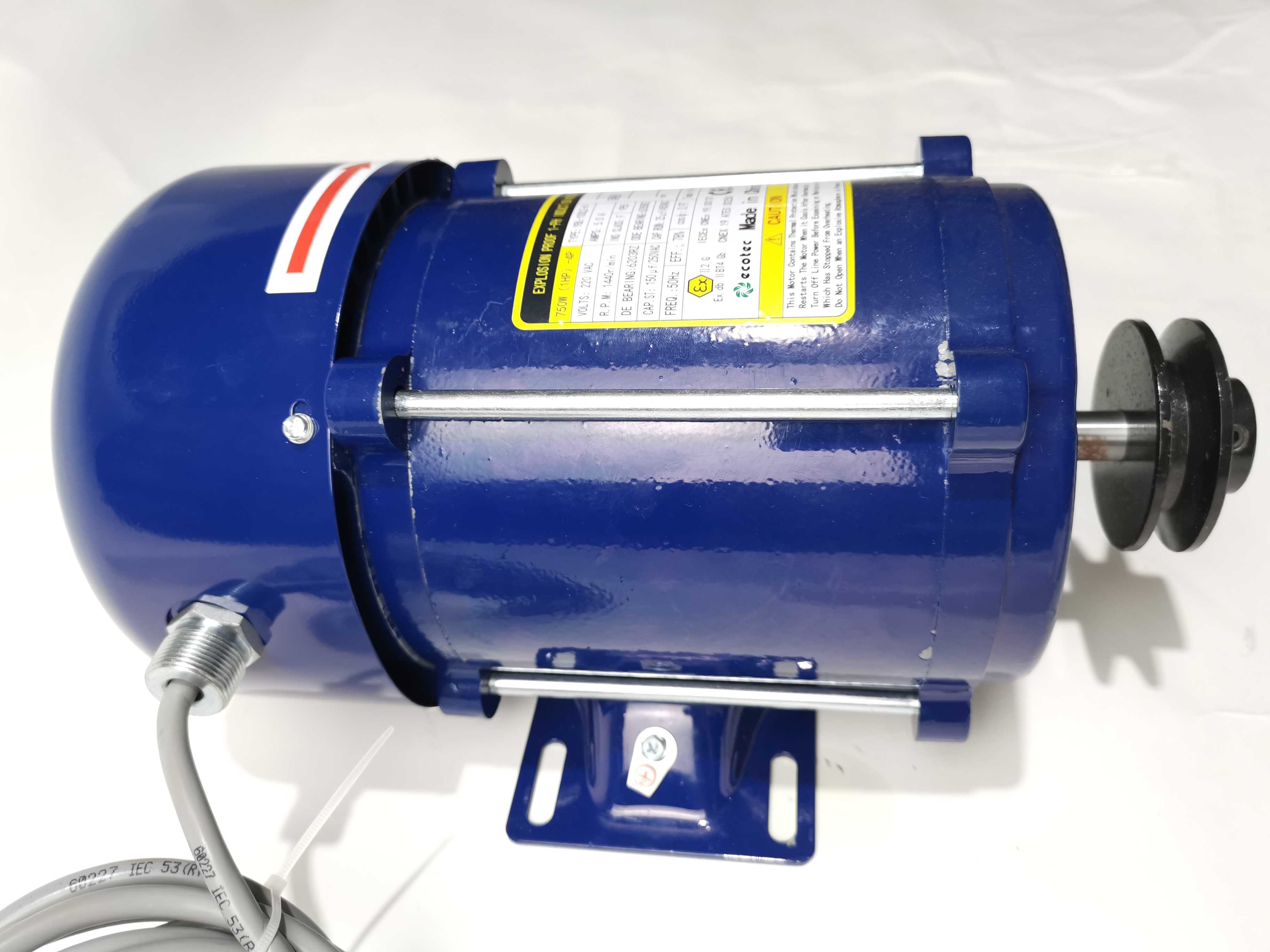 Ecotec ATEX Motor Single Phase Motor for Fuel Dispenser (YN Blue) extra image 3