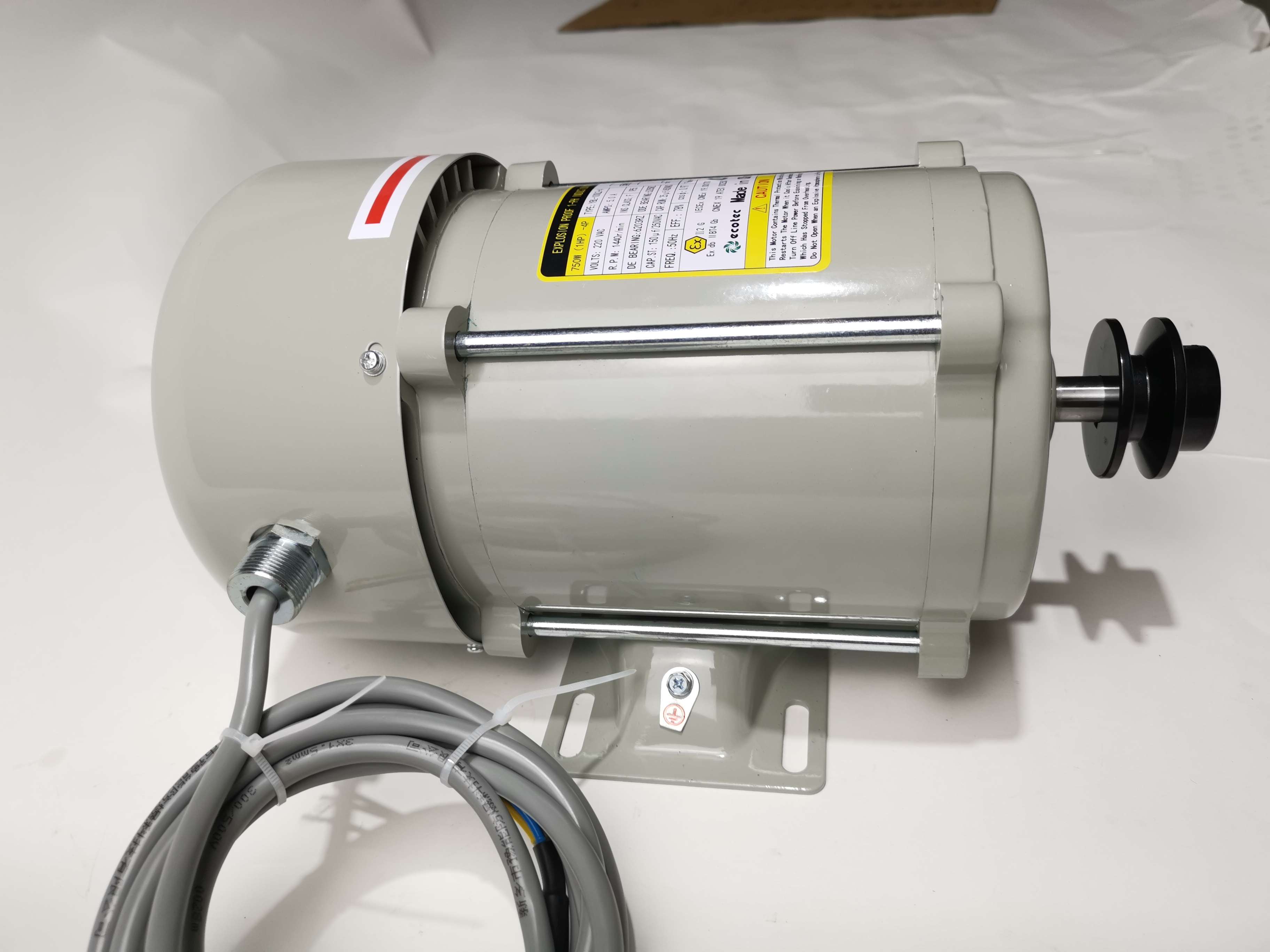 Ecotec Hot Sale 220V Grey Motor High Quality Motor for Fuel Dispenser