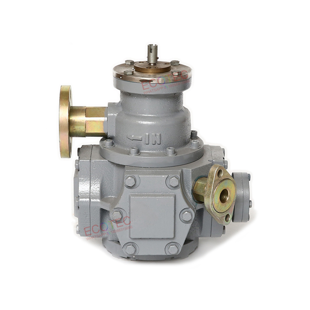Ecotec LPG Flow Meter